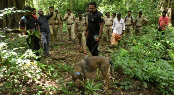 എട്ട് ദിവസം നടത്തിയ തെരച്ചിലിലും തെളിവുകള് ലഭിച്ചില്ല : കുട്ടിയമ്മയുടെ തിരോധാനത്തില് ദുരൂഹത ആരോപിച്ച് ബന്ധുക്കള് എട്ട് ദിവസം നടത്തിയ തെരച്ചിലിലും തെളിവുകള് ലഭിച്ചില്ല : കുട്ടിയമ്മയുടെ തിരോധാനത്തില് ദുരൂഹത ആരോപിച്ച് ബന്ധുക്കള്