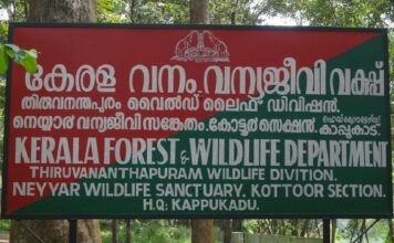 നെയ്യാർ വൈൽഡ് ലൈഫ് സാങ്ച്വറിയിലെ സ്വകാര്യ എസ്റ്റേറ്റിൽ കാട്ടുപോത്തിനെ വെടിവച്ചുകൊന്നു