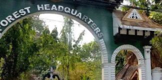 മനുഷ്യ വന്യജീവി സംഘർഷം : നഷ്ടപരിഹാരം നിർണയിക്കാൻ അഞ്ചംഗ വിദഗ്ധ സമിതി