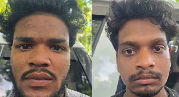 ഓപ്പറേഷൻ തൂഫാൻ ; രണ്ട് ഒഡിഷ സ്വദേശികളെ 12 കിലോഗ്രാം കഞ്ചാവുമായി പിടികൂടി ഓപ്പറേഷൻ തൂഫാൻ ; രണ്ട് ഒഡിഷ സ്വദേശികളെ 12 കിലോഗ്രാം കഞ്ചാവുമായി പിടികൂടി