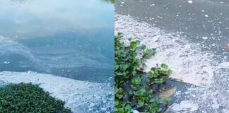 ഏലൂര് വ്യവസായ മേഖലയിൽ നിന്ന് പെരിയാറിലേക്ക് മാലിന്യമൊഴുക്കി