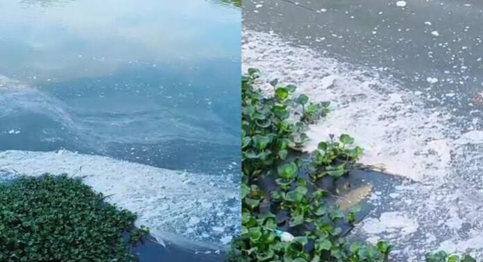 ഏലൂര് വ്യവസായ മേഖലയിൽ നിന്ന് പെരിയാറിലേക്ക് മാലിന്യമൊഴുക്കി ഏലൂര് വ്യവസായ മേഖലയിൽ നിന്ന് പെരിയാറിലേക്ക് മാലിന്യമൊഴുക്കി