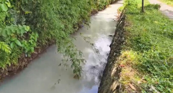 വലിയകലുങ്ക് കാളത്തോട്ടിലെ മലിനജലം : അഞ്ച് പഞ്ചായത്തുകളിലെ കുടിവെള്ള സ്രോതസ്സിൽ ഗുരുതര മലിനീകരണമെന്ന് റിപ്പോര്ട്ട് വലിയകലുങ്ക് കാളത്തോട്ടിലെ മലിനജലം : അഞ്ച് പഞ്ചായത്തുകളിലെ കുടിവെള്ള സ്രോതസ്സിൽ ഗുരുതര മലിനീകരണമെന്ന് റിപ്പോര്ട്ട്