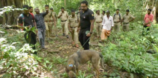 ചിറ്റാര് കട്ടച്ചിറയില് കുട്ടിയമ്മയെ കാണാതായിട്ട് ഒന്പത് ദിവസം : കടാവര് നായയെ എത്തിച്ച് നടത്തിയ തെരച്ചിലും ഫലം കണ്ടില്ല