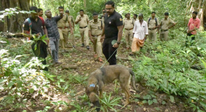 ചിറ്റാര് കട്ടച്ചിറയില് കുട്ടിയമ്മയെ കാണാതായിട്ട് ഒന്പത് ദിവസം : കടാവര് നായയെ എത്തിച്ച് നടത്തിയ തെരച്ചിലും ഫലം കണ്ടില്ല ചിറ്റാര് കട്ടച്ചിറയില് കുട്ടിയമ്മയെ കാണാതായിട്ട് ഒന്പത് ദിവസം : കടാവര് നായയെ എത്തിച്ച് നടത്തിയ തെരച്ചിലും ഫലം കണ്ടില്ല