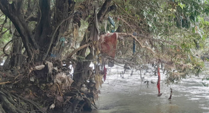 വന്യജീവികള്ക്ക് ഭീഷണിയായി കല്ലാറിന്റെ തീരത്തെ മരച്ചില്ലകളിലും മാലിന്യങ്ങള് വന്യജീവികള്ക്ക് ഭീഷണിയായി കല്ലാറിന്റെ തീരത്തെ മരച്ചില്ലകളിലും മാലിന്യങ്ങള്