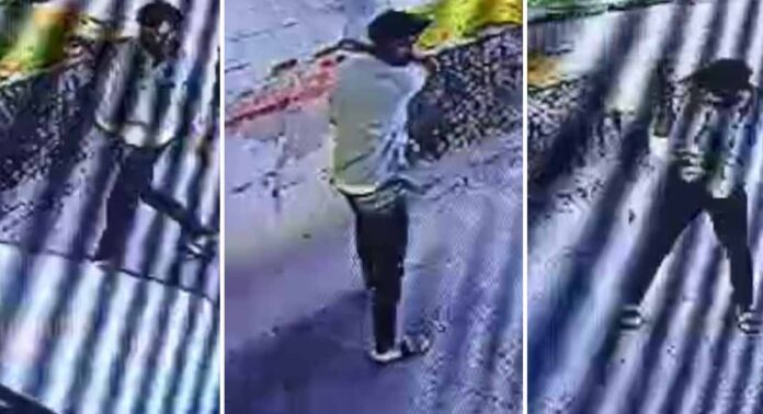 കുമ്പളം ടോൾ പ്ലാസയിൽ സ്വകാര്യ ബസ് ജീവനക്കാരൻ ടോൾ ബാരിയർ തട്ടിത്തെറിപ്പിച്ചു ; ജീവനക്കാരന് നേരെ അസഭ്യം കുമ്പളം ടോൾ പ്ലാസയിൽ സ്വകാര്യ ബസ് ജീവനക്കാരൻ ടോൾ ബാരിയർ തട്ടിത്തെറിപ്പിച്ചു ; ജീവനക്കാരന് നേരെ അസഭ്യം