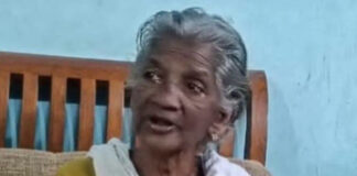 ചിറ്റാറില് വനത്തില് വിറക് ശേഖരിക്കാന് പോയ വൃദ്ധയെ കാണാതായി : തെരച്ചില് ശക്തമാക്കി വനപാലകരും പോലീസും