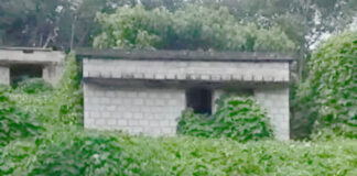കലഞ്ഞൂരില് ലൈഫ് ഭവന പദ്ധതിയില് നിര്മ്മിച്ച വീടുകള് കാടുകയറുന്നു : വീടുകളില് താമസിക്കാന് ഗുണഭോക്താക്കളില്ല