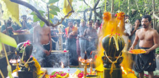 കല്ലേലി ഊരാളി അപ്പൂപ്പന് കാവില് വിശേഷാൽ നാഗപൂജ നടന്നു