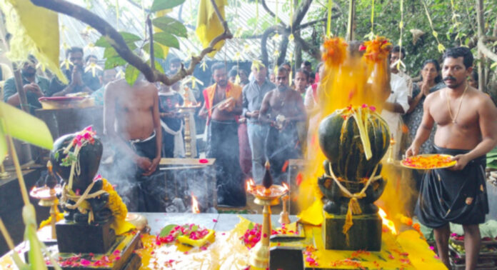 കല്ലേലി ഊരാളി അപ്പൂപ്പന് കാവില് വിശേഷാൽ നാഗപൂജ നടന്നു കല്ലേലി ഊരാളി അപ്പൂപ്പന് കാവില് വിശേഷാൽ നാഗപൂജ നടന്നു