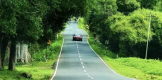 മസിനഗുഡി വഴി ഊട്ടിയിലേക്കുള്ള പ്രവേശനം നിരോധിച്ച നടപടിയില് ഇളവു വരുത്തി