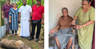 റാന്നി ചെത്തോങ്കരയില് വീട്ടുമുറ്റത്ത് നിന്നയാളെ കാട്ടുപന്നി ആക്രമിച്ചു