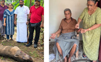 റാന്നി ചെത്തോങ്കരയില് വീട്ടുമുറ്റത്ത് നിന്നയാളെ കാട്ടുപന്നി ആക്രമിച്ചു