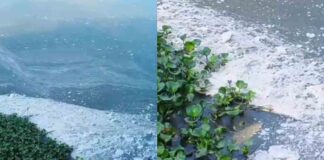 പെരിയാറിൽ വ്യവസായ മാലിന്യം ; രാവിലെ പുഴയിൽ വലിയ അളവിൽ പത ; സാമ്പിളുകൾ ശേഖരിച്ച് മലിനീകരണ നിയന്ത്രണ ബോഡ്