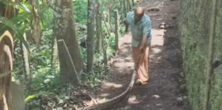 കോഴഞ്ചേരിയില് കൂറ്റന് പെരുമ്പാമ്പിനെ പിടികൂടി