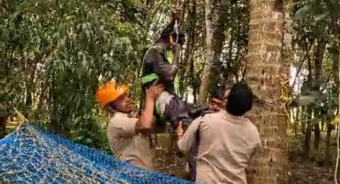 പന്തളം ചൂരക്കോട് തെങ്ങിന്റെ മുകളില് കുടുങ്ങിയ ആളിന് ഫയര്ഫോഴ്സ് രക്ഷകരായി പന്തളം ചൂരക്കോട് തെങ്ങിന്റെ മുകളില് കുടുങ്ങിയ ആളിന് ഫയര്ഫോഴ്സ് രക്ഷകരായി