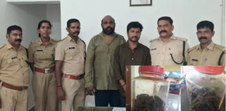 കോവളത്ത് കടൽവെളളരിയുമായി രണ്ടുപേർ അറസ്റ്റിൽ ; പിടിച്ചെടുത്തത് 80 കടൽവെള്ളരികൾ