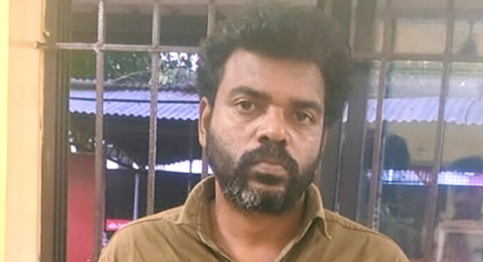 നായയെ അഴിച്ചുവിട്ടതിനെച്ചൊല്ലി തർക്കം : സഹോദരന്റെ വാരിയെല്ല് ചവിട്ടിയൊടിച്ചയാൾ പിടിയിൽ നായയെ അഴിച്ചുവിട്ടതിനെച്ചൊല്ലി തർക്കം : സഹോദരന്റെ വാരിയെല്ല് ചവിട്ടിയൊടിച്ചയാൾ പിടിയിൽ