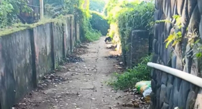 പത്തനംതിട്ട ശാസ്താംകോവില് – കെ.എസ്.ആര്.റ്റി.സി ഡിപ്പോ റോഡ് കാടുകയറുന്നു : നവീകരണം നടത്താതെ നഗരസഭ പത്തനംതിട്ട ശാസ്താംകോവില് – കെ.എസ്.ആര്.റ്റി.സി ഡിപ്പോ റോഡ് കാടുകയറുന്നു : നവീകരണം നടത്താതെ നഗരസഭ