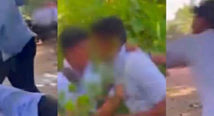 പ്ലസ് വണ് വിദ്യാര്ത്ഥികളെ സീനിയര് വിദ്യാര്ത്ഥികള് മര്ദിച്ചതായി പരാതി പ്ലസ് വണ് വിദ്യാര്ത്ഥികളെ സീനിയര് വിദ്യാര്ത്ഥികള് മര്ദിച്ചതായി പരാതി
