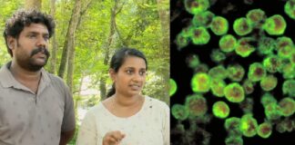 അമീബിക്ക് മസ്തിഷ്കജ്വരം ബാധിച്ച 3വയസുകാരിക്ക് രോഗനിർണ്ണയം നടത്താതെ ചികിത്സ ,പുഷ്പഗിരി ആശുപത്രിക്കെതിരെ കുടുംബം