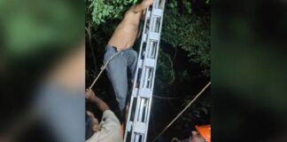 മലപ്പുറത്ത് മരത്തിൽ കയറി ആത്മഹത്യാ ഭീഷണി മുഴക്കിയ ഇതരസംസ്ഥാന തൊഴിലാളിയെ താഴെയിറക്കി