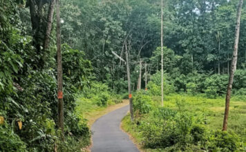 വൈദ്യുതി പ്രതിസന്ധി രൂക്ഷം : പകൽ വെളിച്ചത്തിലും സ്ട്രീറ്റ് ലൈറ്റുകള് ദിവസങ്ങളോളം അണയാതെ കത്തുന്ന റാന്നി