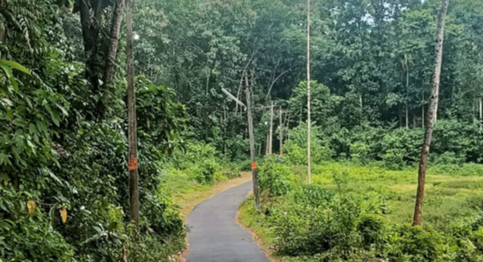 വൈദ്യുതി പ്രതിസന്ധി രൂക്ഷം : പകൽ വെളിച്ചത്തിലും സ്ട്രീറ്റ് ലൈറ്റുകള് ദിവസങ്ങളോളം അണയാതെ കത്തുന്ന റാന്നി വൈദ്യുതി പ്രതിസന്ധി രൂക്ഷം : പകൽ വെളിച്ചത്തിലും സ്ട്രീറ്റ് ലൈറ്റുകള് ദിവസങ്ങളോളം അണയാതെ കത്തുന്ന റാന്നി