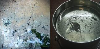 കോട്ടയം ചങ്ങനാശ്ശേരിയിൽ പെട്രോൾ പമ്പിൽ നിന്ന് മഴവെള്ളം കലർന്ന ഇന്ധനം ഒഴുക്കിവിട്ടു