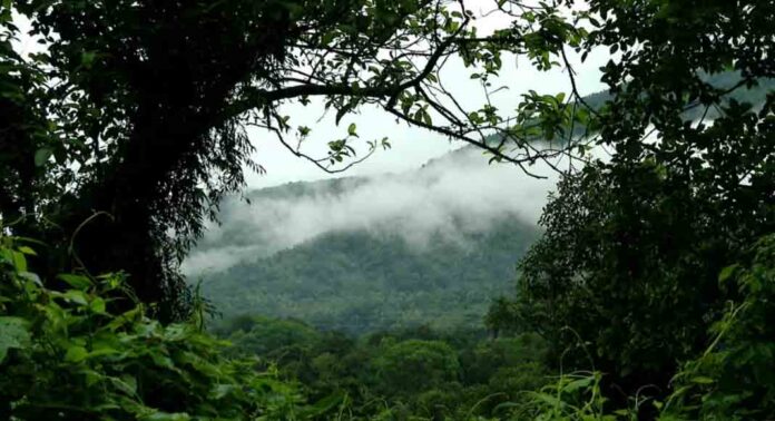 ഇഎസ്എ കരട് വിജ്ഞാപനം : നിർദേശങ്ങൾ സമർപ്പിക്കേണ്ട അവസാന ദിനം ഇന്ന് ഇഎസ്എ കരട് വിജ്ഞാപനം : നിർദേശങ്ങൾ സമർപ്പിക്കേണ്ട അവസാന ദിനം ഇന്ന്