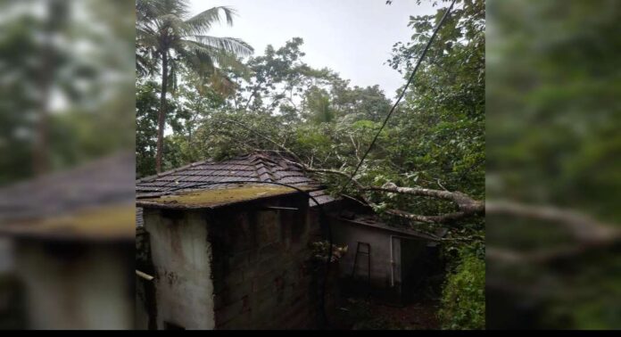 റാന്നിയിൽ കനത്ത മഴയും വീശിയടിച്ച കാറ്റും : വ്യാപക നാശനഷ്ടം ; ഫയർഫോഴ്സും നാട്ടുകാരും ചേർന്ന് റോഡ് ഗതാഗതം പുനഃസ്ഥാപിച്ചു റാന്നിയിൽ കനത്ത മഴയും വീശിയടിച്ച കാറ്റും : വ്യാപക നാശനഷ്ടം ; ഫയർഫോഴ്സും നാട്ടുകാരും ചേർന്ന് റോഡ് ഗതാഗതം പുനഃസ്ഥാപിച്ചു