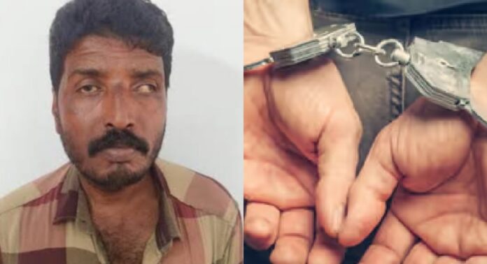 സ്ഥിരം കുറ്റവാളിയായ വൈത്തിരി സ്വദേശിയെ കാപ്പ ചുമത്തി വയനാട്ടിൽ നിന്ന് പുറത്താക്കി സ്ഥിരം കുറ്റവാളിയായ വൈത്തിരി സ്വദേശിയെ കാപ്പ ചുമത്തി വയനാട്ടിൽ നിന്ന് പുറത്താക്കി