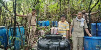 പമ്പാവാലിയില് എക്സൈസ് പരിശോധനയില് വന് കോട ശേഖരം പിടികൂടി